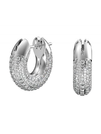 Swarovski Dextera Earrings