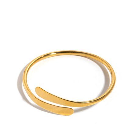 اسوارة دانون