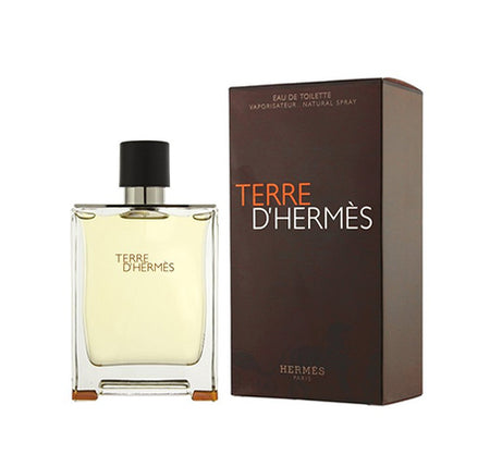Hermes Terre D'hermes EDT 100ml Perfume