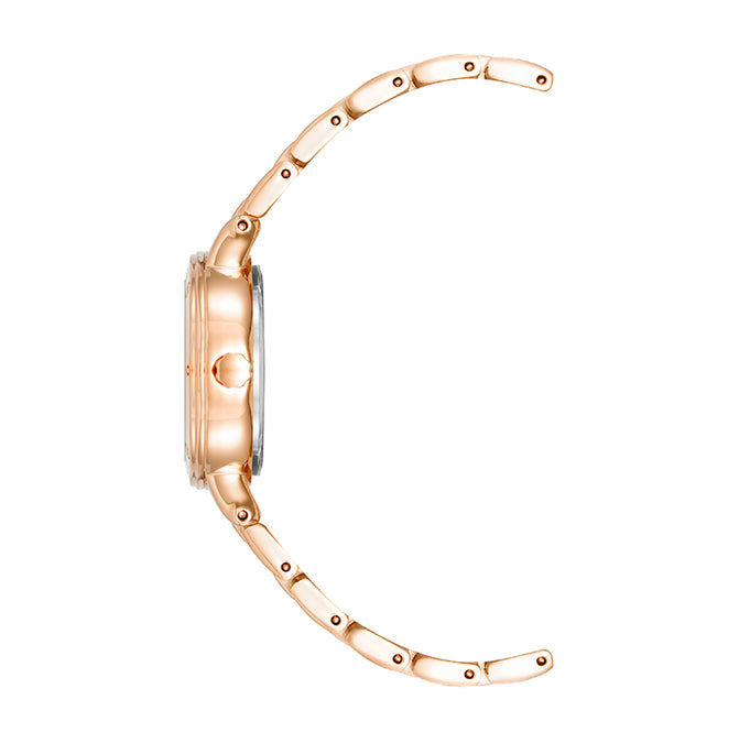 ساعة آن كلاين Metals