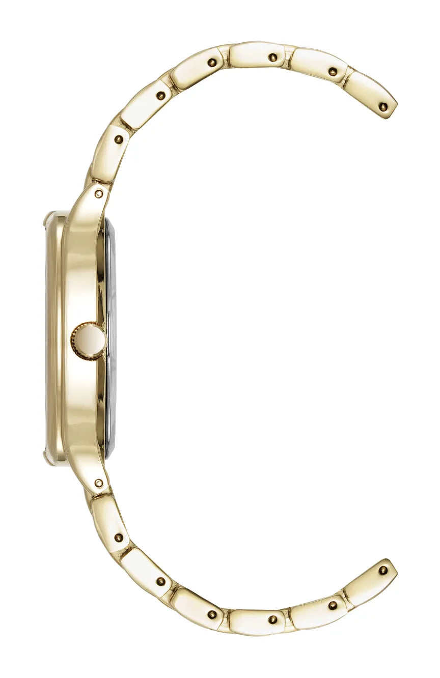 ساعة آن كلاين Vibrancy