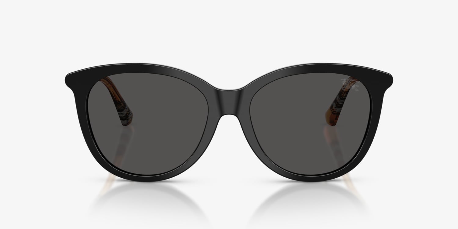 نظارات شمس بربري