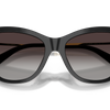 Dolce and Gabbana Sunglasses