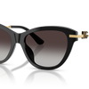 Dolce and Gabbana Sunglasses