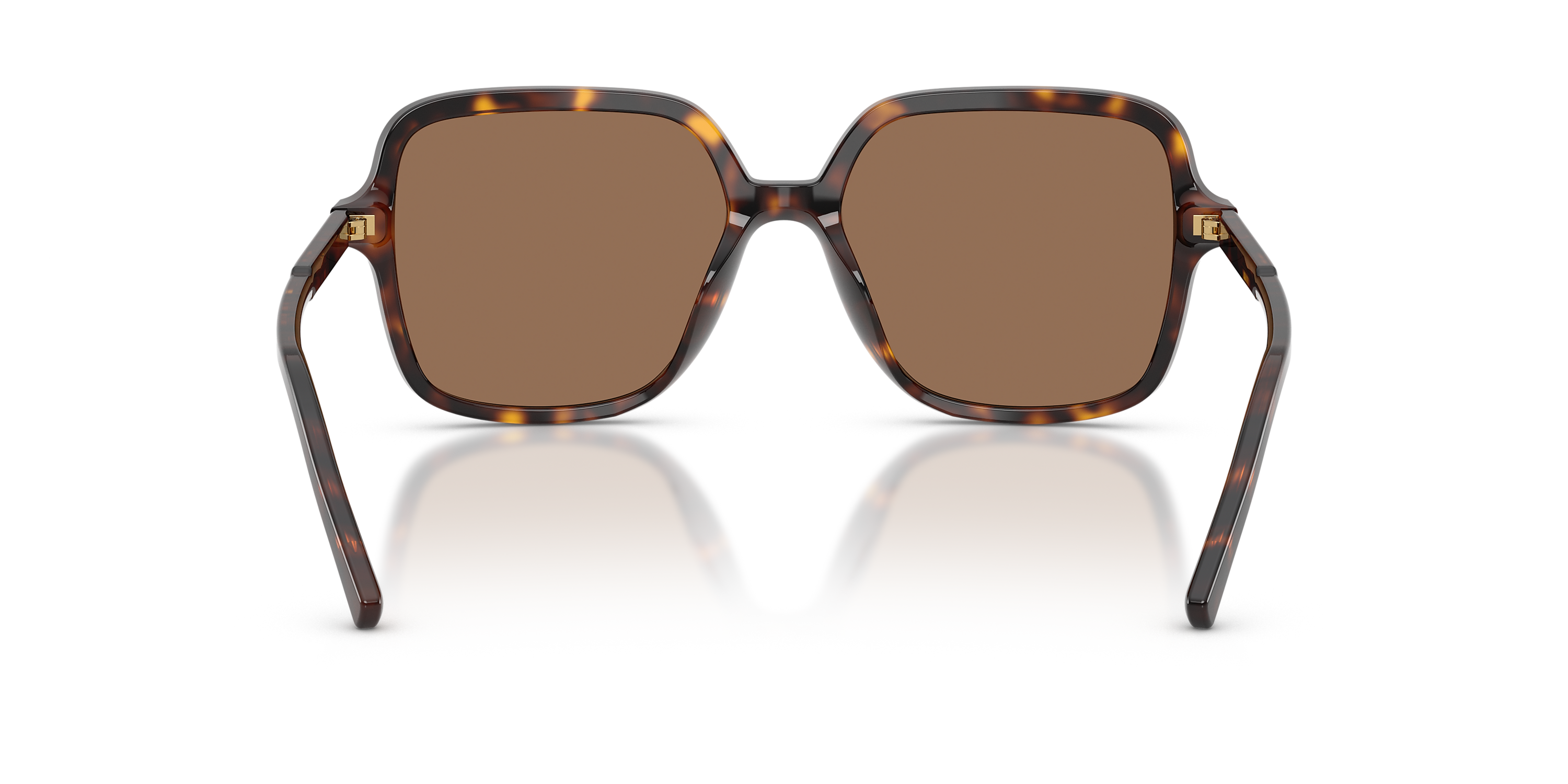 Dolce and Gabbana Sunglasses