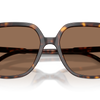 Dolce and Gabbana Sunglasses