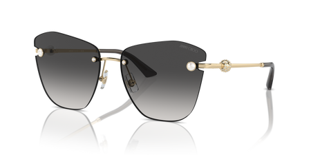 Jimmy Choo Sunglasses
