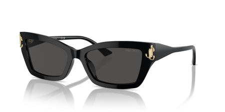 Jimmy Choo Sunglasses
