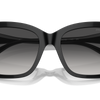Jimmy Choo Sunglasses