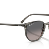 Ray-Ban Elliot Polorized Sunglasses