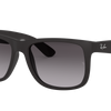 Ray-Ban Justin Classic Sunglasses
