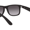 Ray-Ban Justin Classic Sunglasses