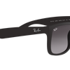 Ray-Ban Justin Classic Sunglasses