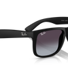 Ray-Ban Justin Classic Sunglasses