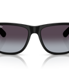 Ray-Ban Justin Classic Sunglasses
