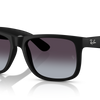 Ray-Ban Justin Classic Sunglasses