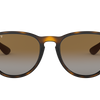 Ray-Ban Erika Classic Polorized Sunglasses