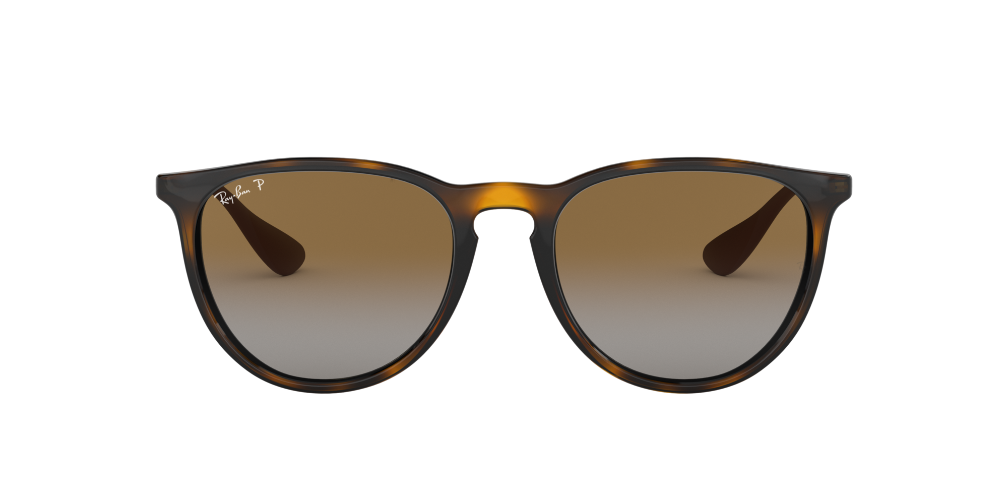 Ray-Ban Erika Classic Polorized Sunglasses