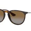 Ray-Ban Erika Classic Polorized Sunglasses