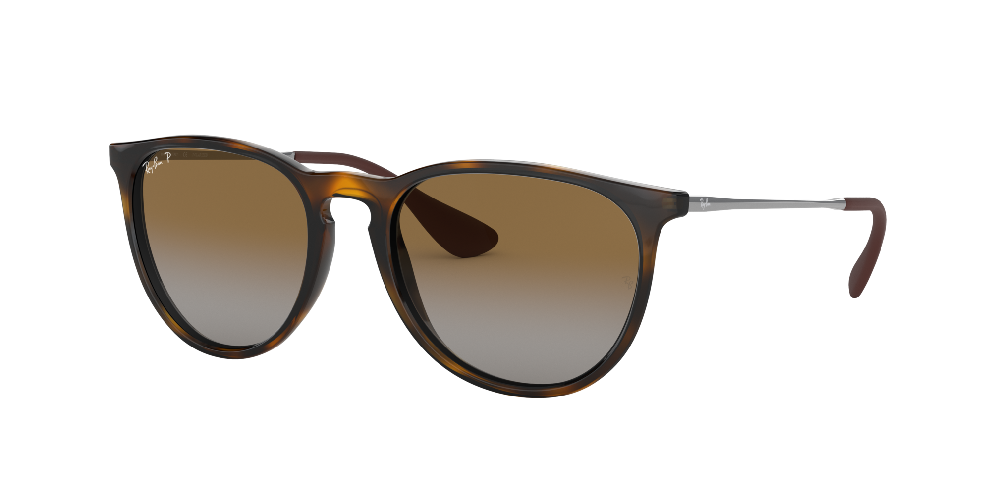 Ray-Ban Erika Classic Polorized Sunglasses