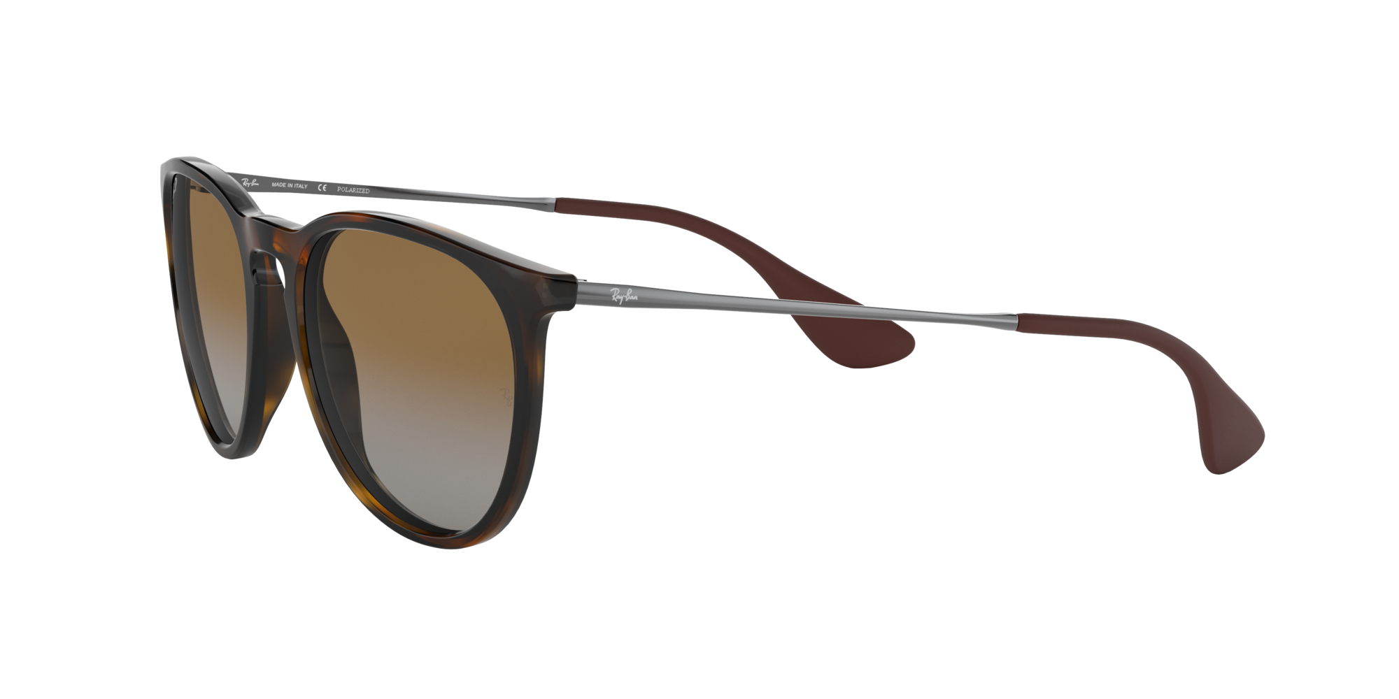 Ray-Ban Erika Classic Polorized Sunglasses