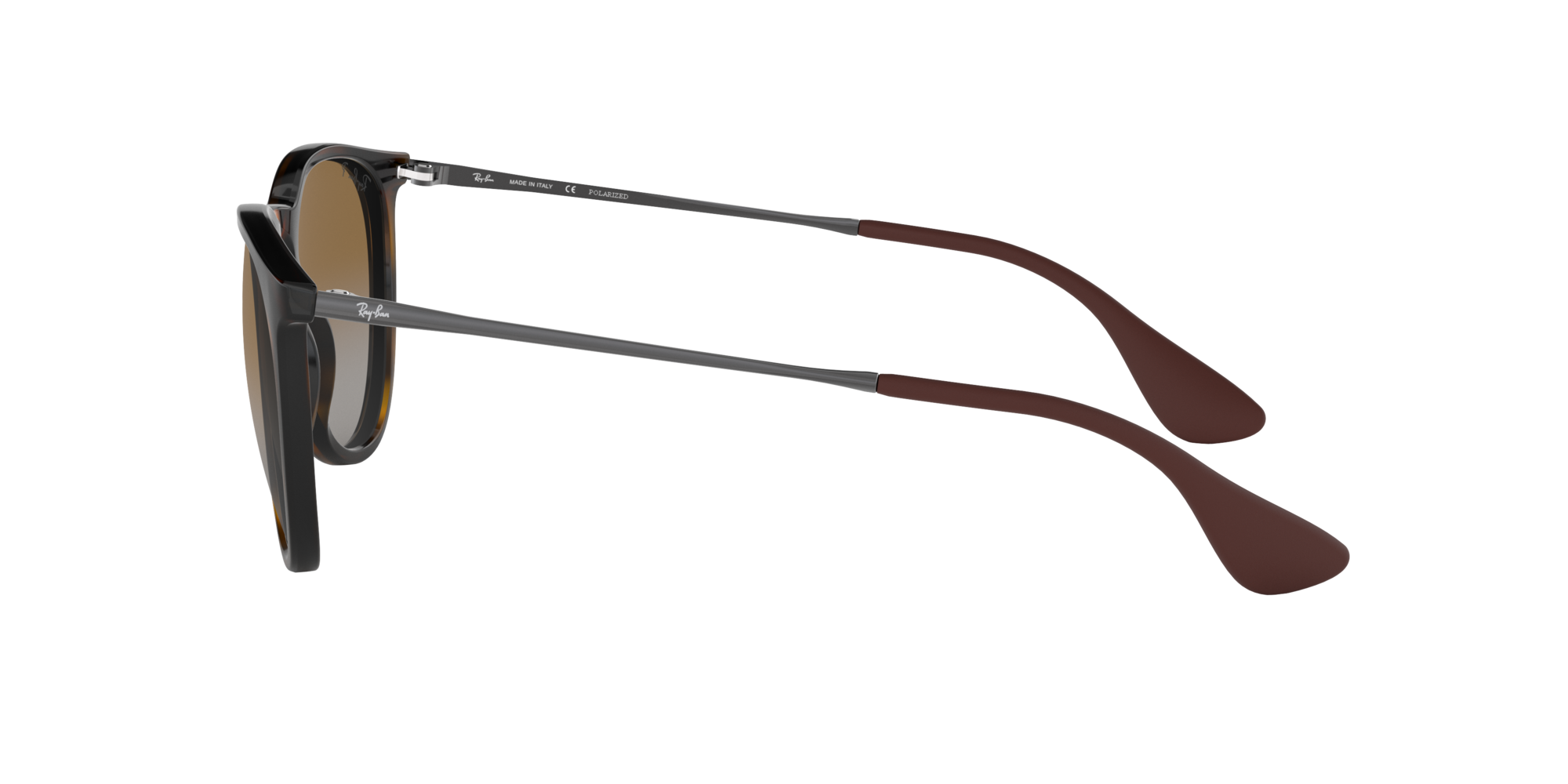 Ray-Ban Erika Classic Polorized Sunglasses