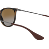 Ray-Ban Erika Classic Polorized Sunglasses