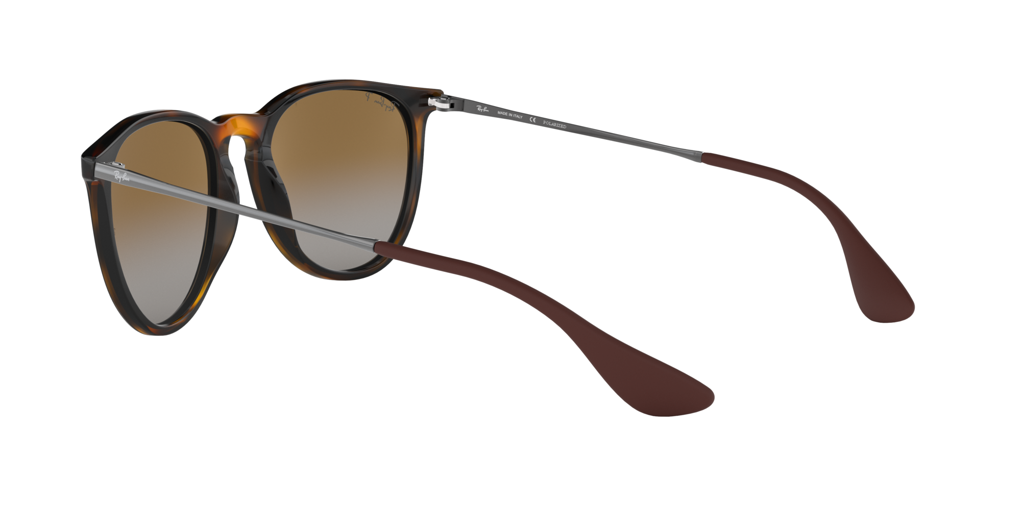 Ray-Ban Erika Classic Polorized Sunglasses