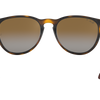 Ray-Ban Erika Classic Polorized Sunglasses