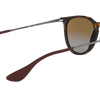 Ray-Ban Erika Classic Polorized Sunglasses