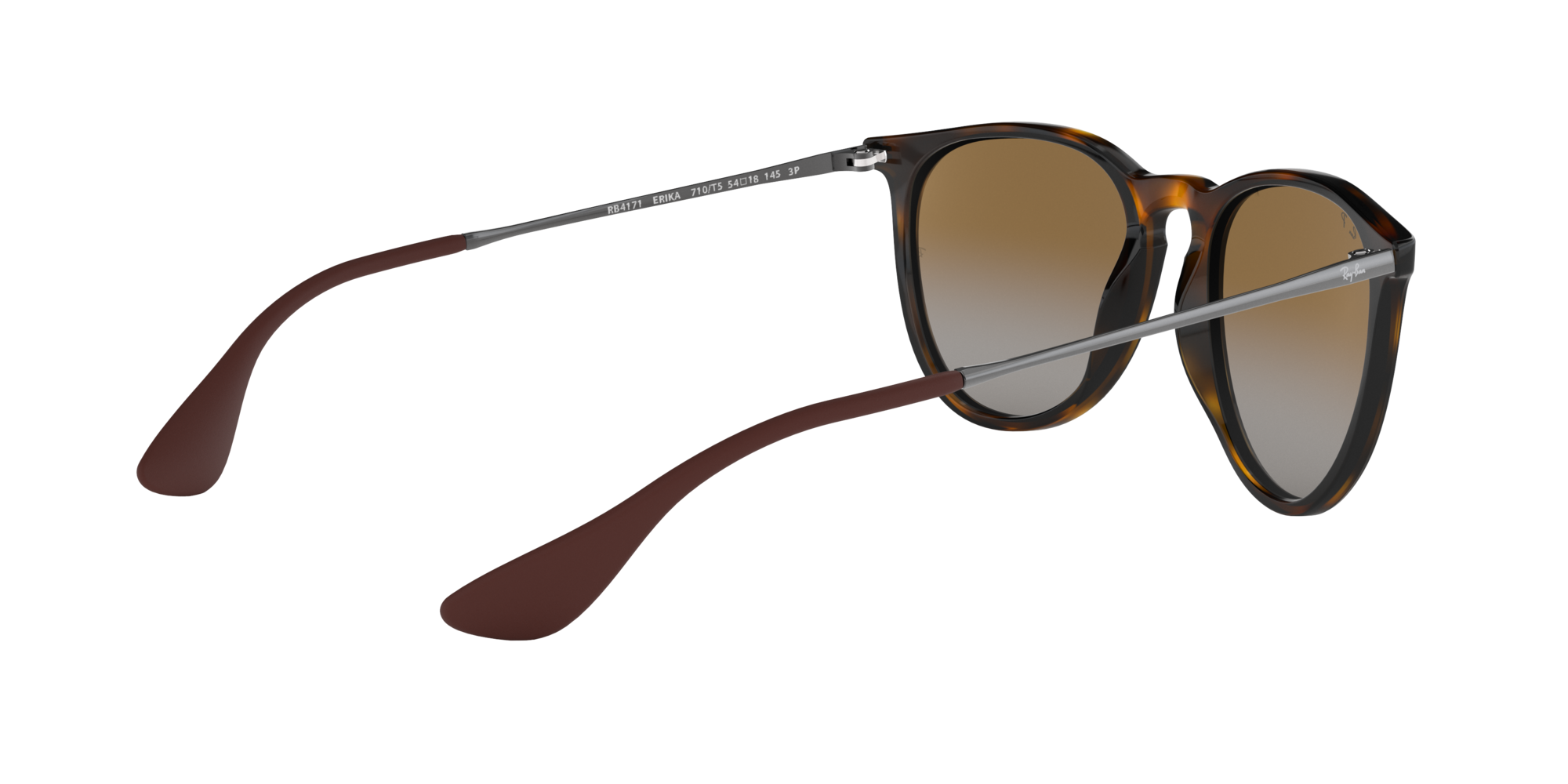 Ray-Ban Erika Classic Polorized Sunglasses