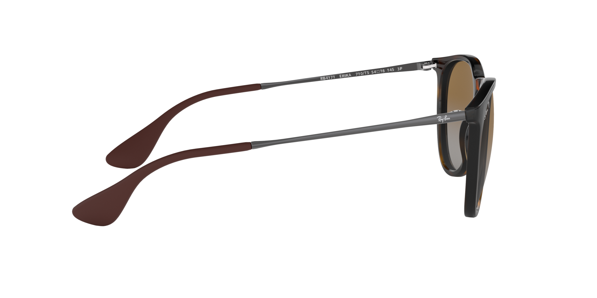 Ray-Ban Erika Classic Polorized Sunglasses