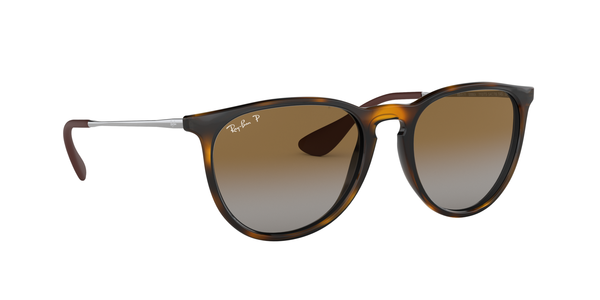 Ray-Ban Erika Classic Polorized Sunglasses
