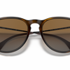 Ray-Ban Erika Classic Polorized Sunglasses