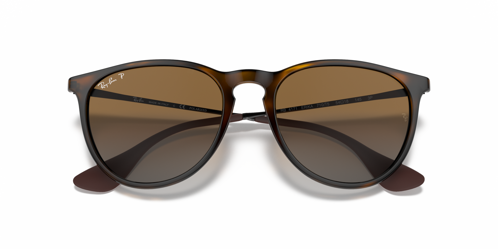 Ray-Ban Erika Classic Polorized Sunglasses