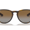 Ray-Ban Erika Classic Polorized Sunglasses