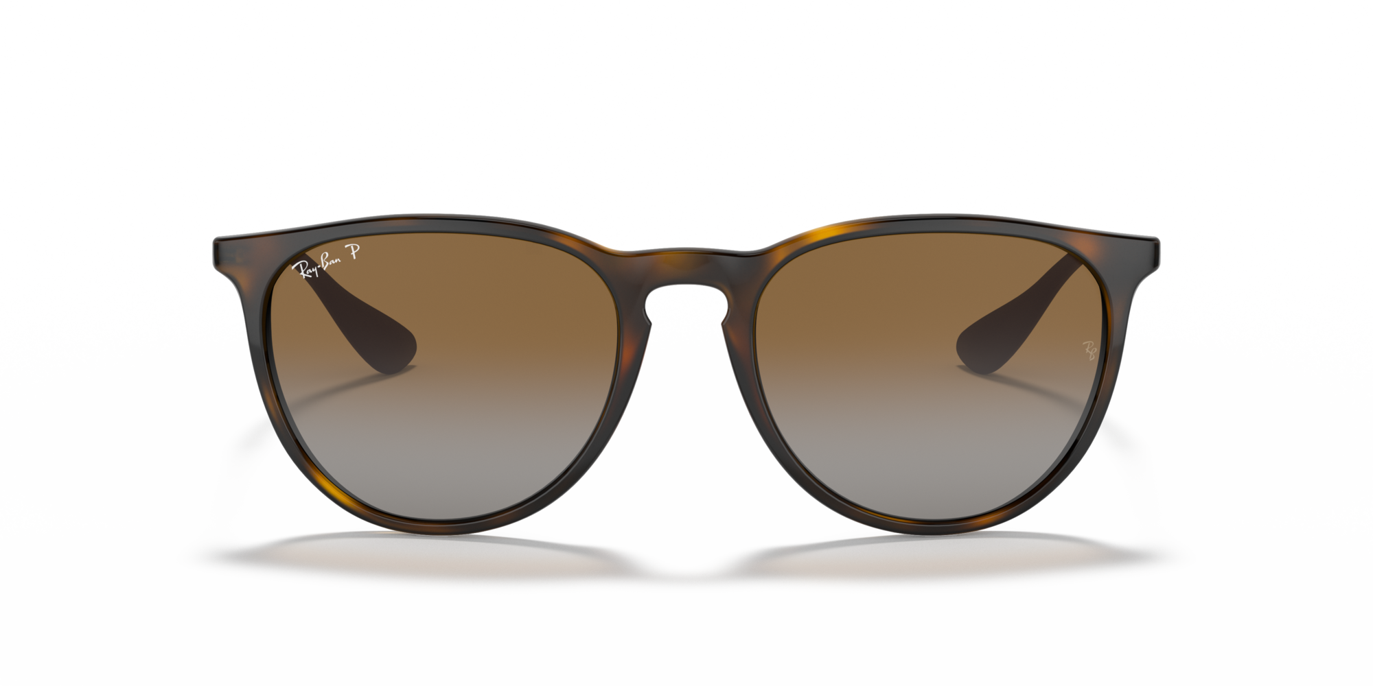 Ray-Ban Erika Classic Polorized Sunglasses