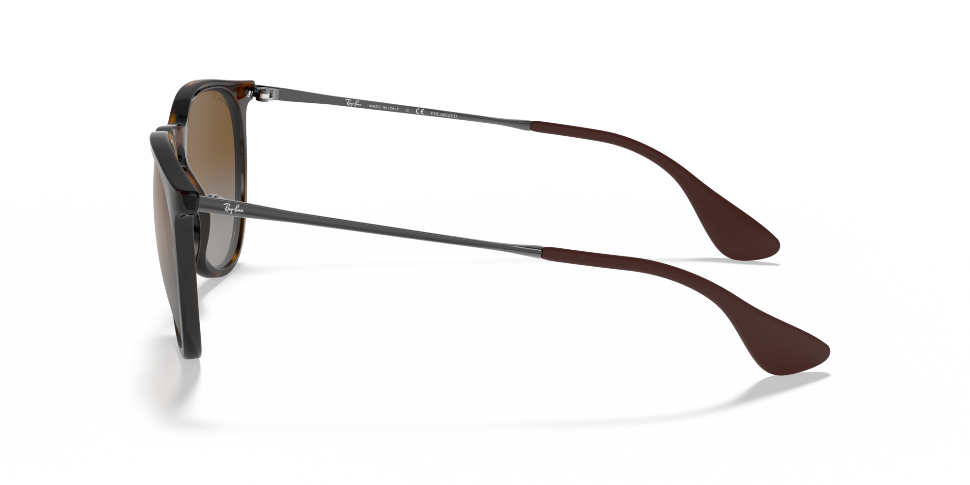 Ray-Ban Erika Classic Polorized Sunglasses