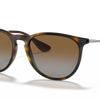 Ray-Ban Erika Classic Polorized Sunglasses