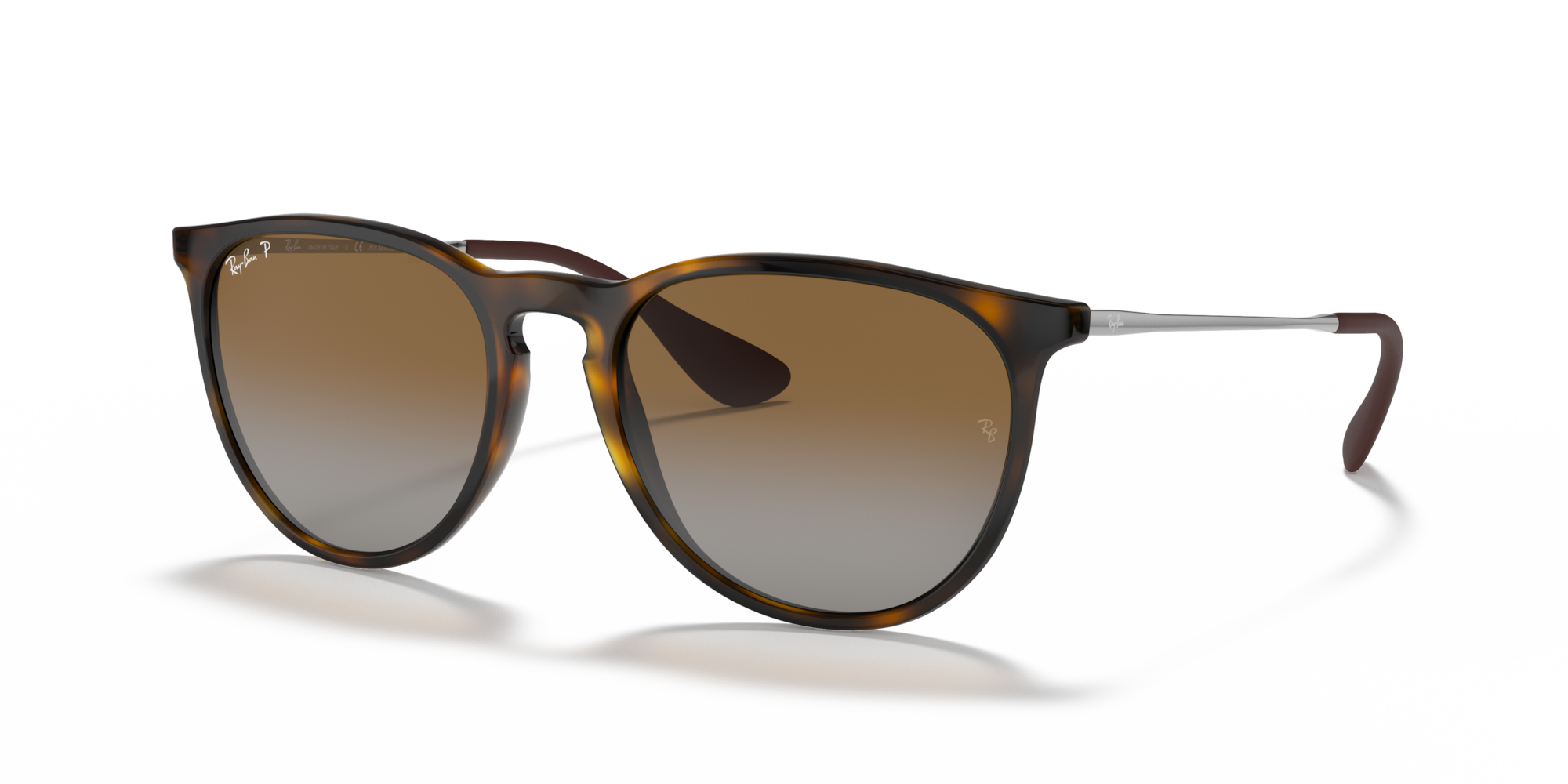 Ray-Ban Erika Classic Polorized Sunglasses