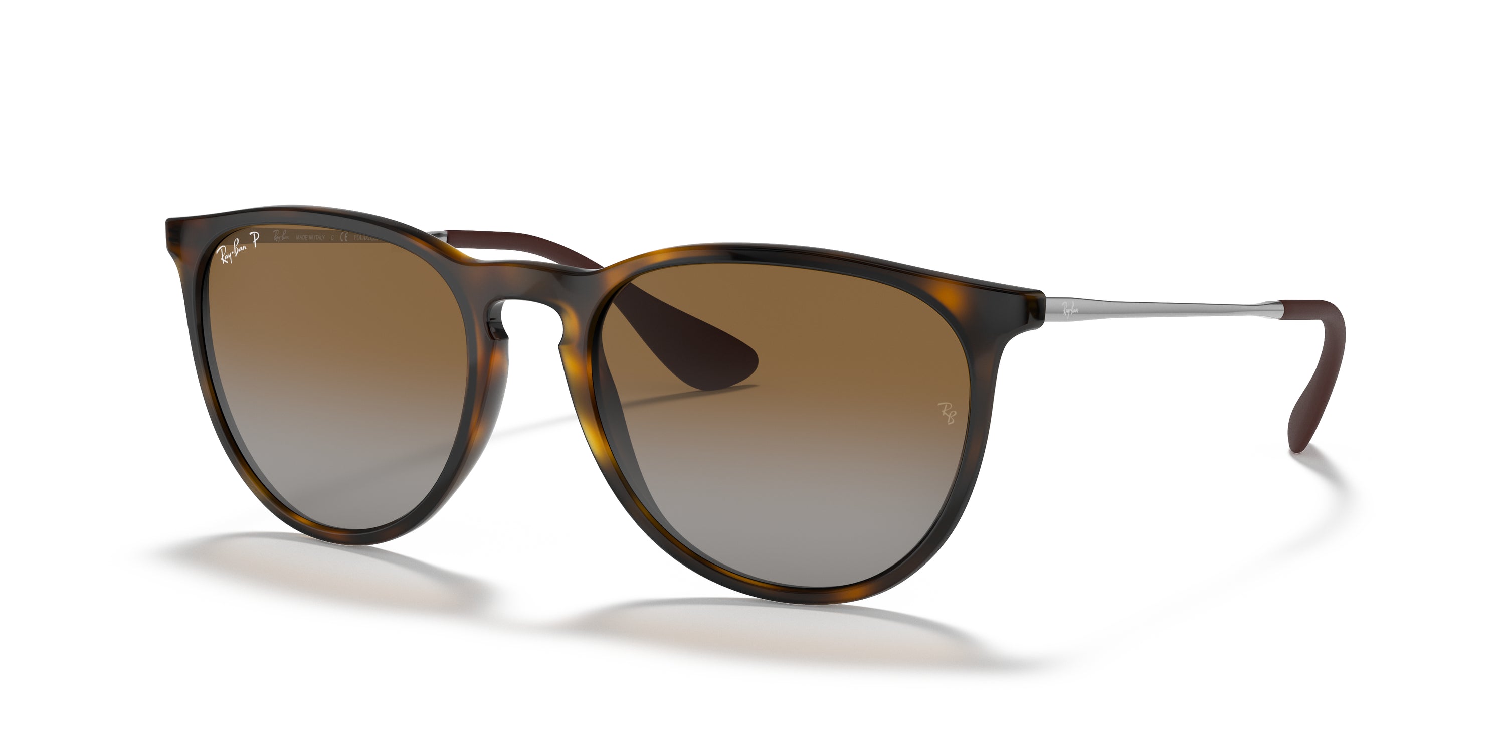 Ray-Ban Erika Classic Polorized Sunglasses