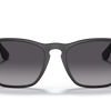 Ray-Ban Chris Sunglasses