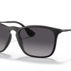 Ray-Ban Chris Sunglasses