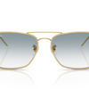 Ray-Ban Caravan Reverse Sunglasses