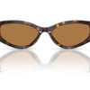 Swarovski Sunglasses