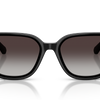 Swarovski Sunglasses
