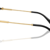 Swarovski Sunglasses