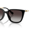 Swarovski Sunglasses