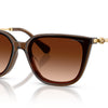 Swarovski Sunglasses