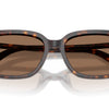 Swarovski Sunglasses
